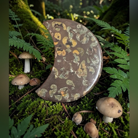 Your Bliss Zone Other - Ajooba /Fruit Jasper Cresent Moon